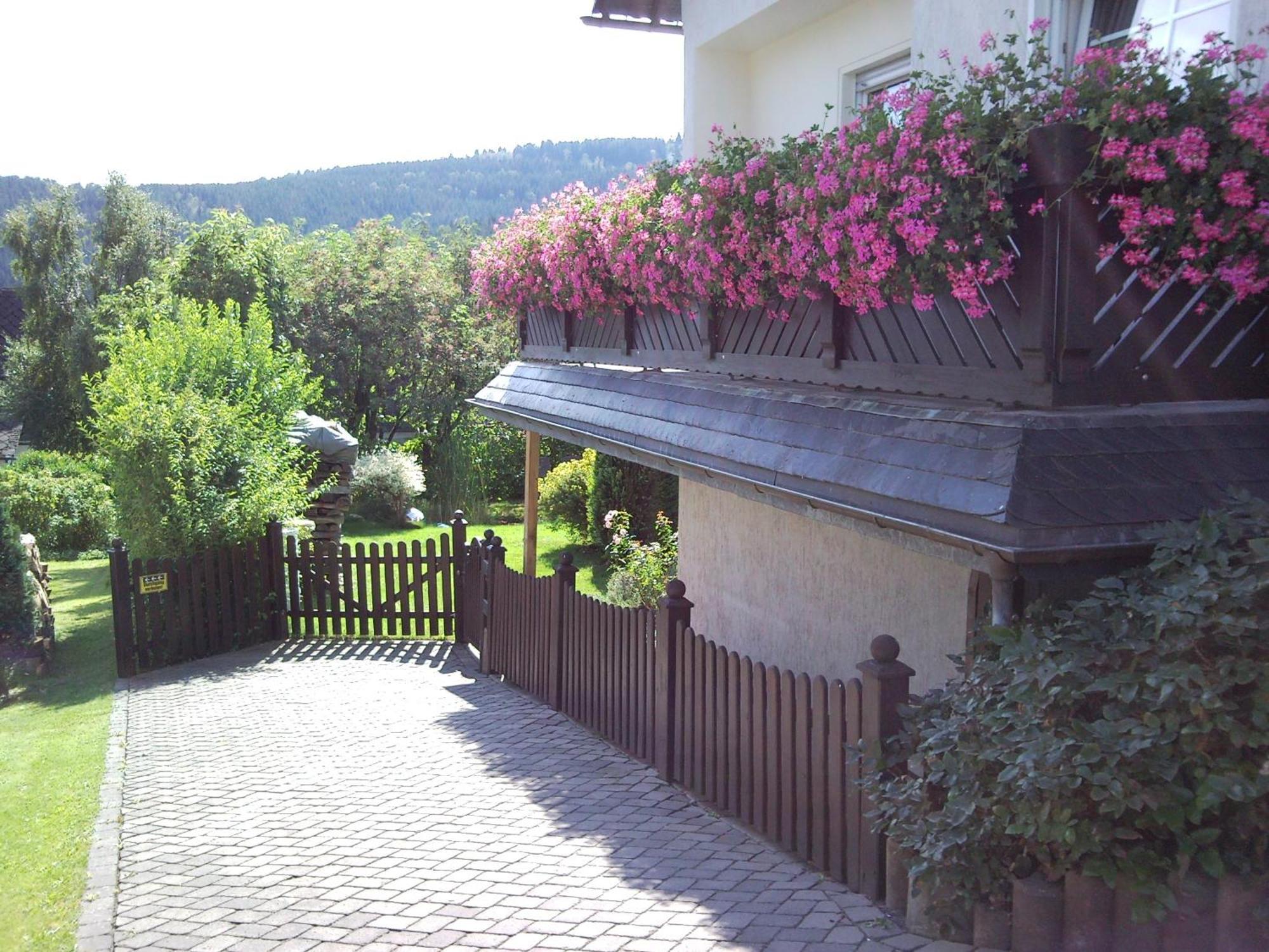 Ferienwohnungen Luge - Winterberg Exterior foto