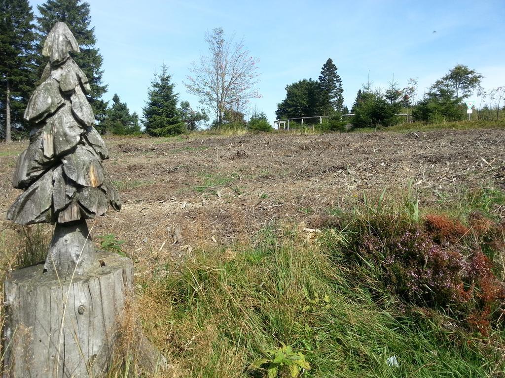 Ferienwohnungen Luge - Winterberg Exterior foto