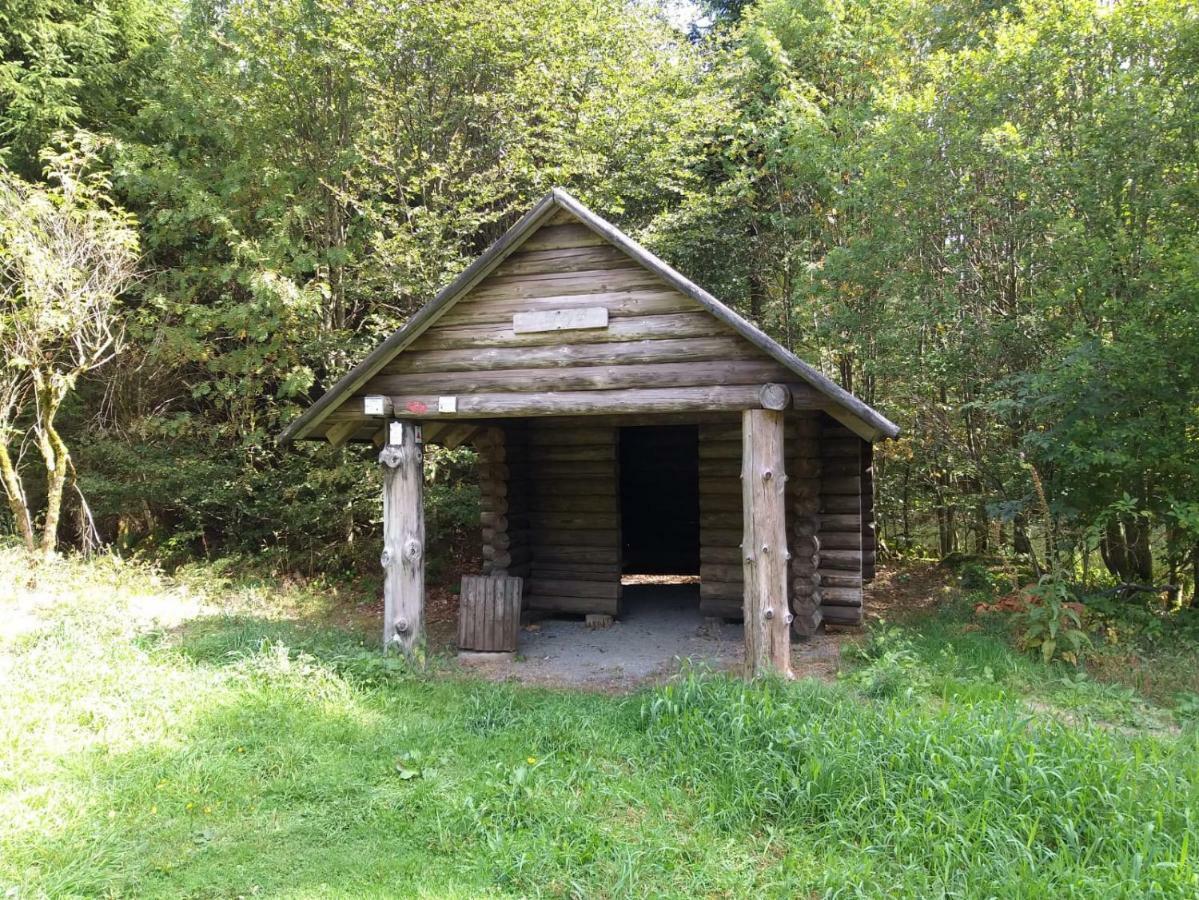 Ferienwohnungen Luge - Winterberg Exterior foto